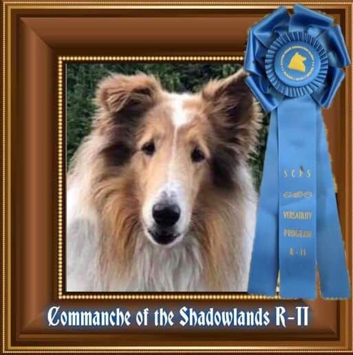 commanche-versatility