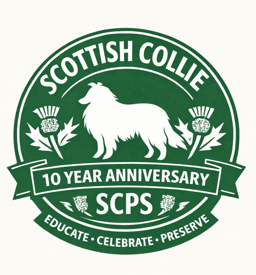 10 Year Anniversary Logo